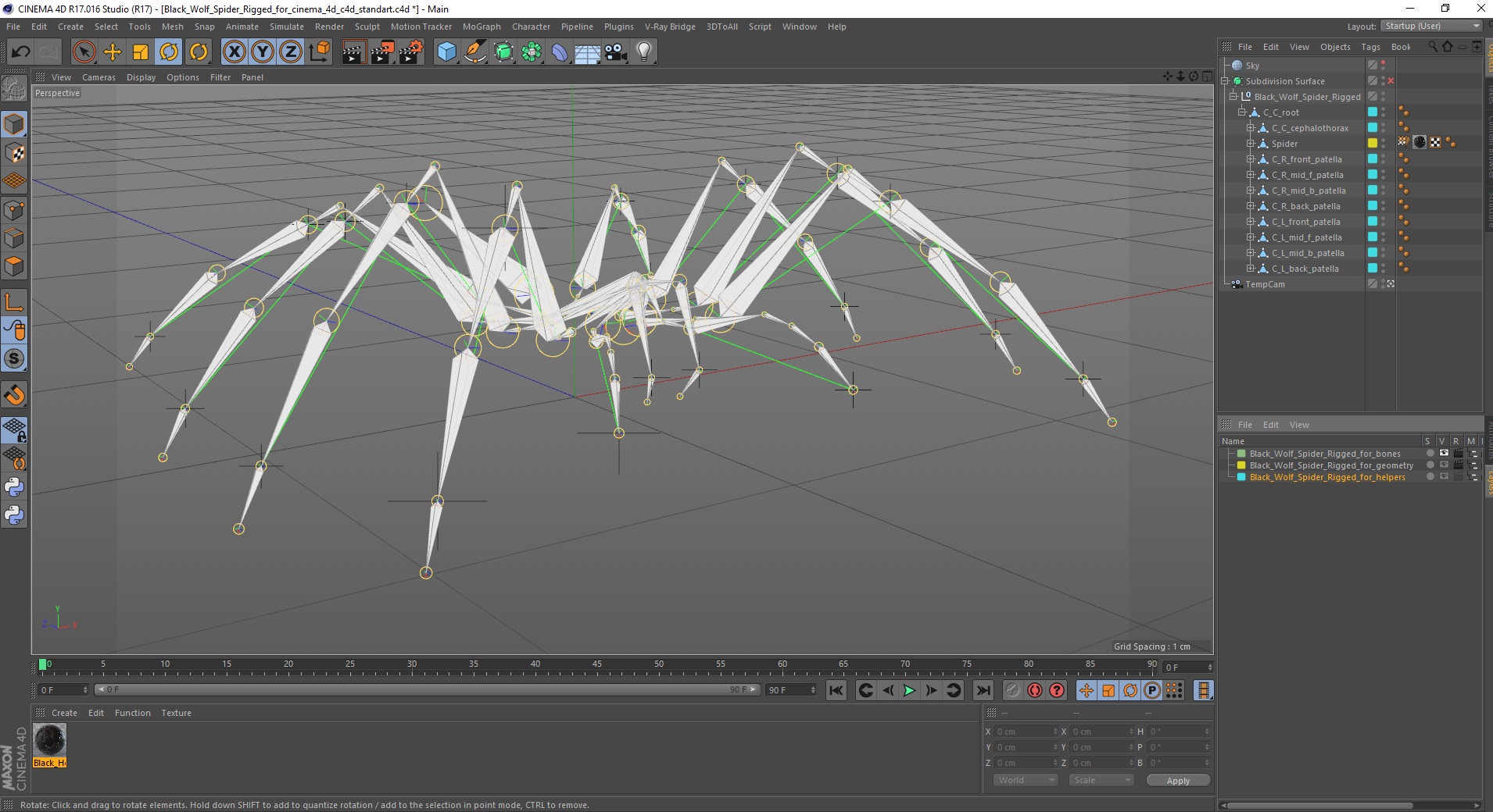 3D Black Wolf Spider Rigged for Cinema 4D model