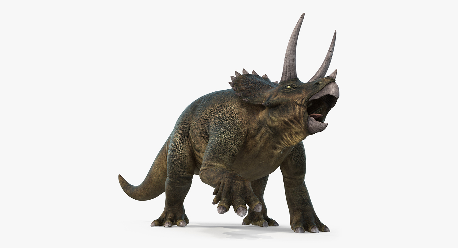 3D Triceratops Rigged model