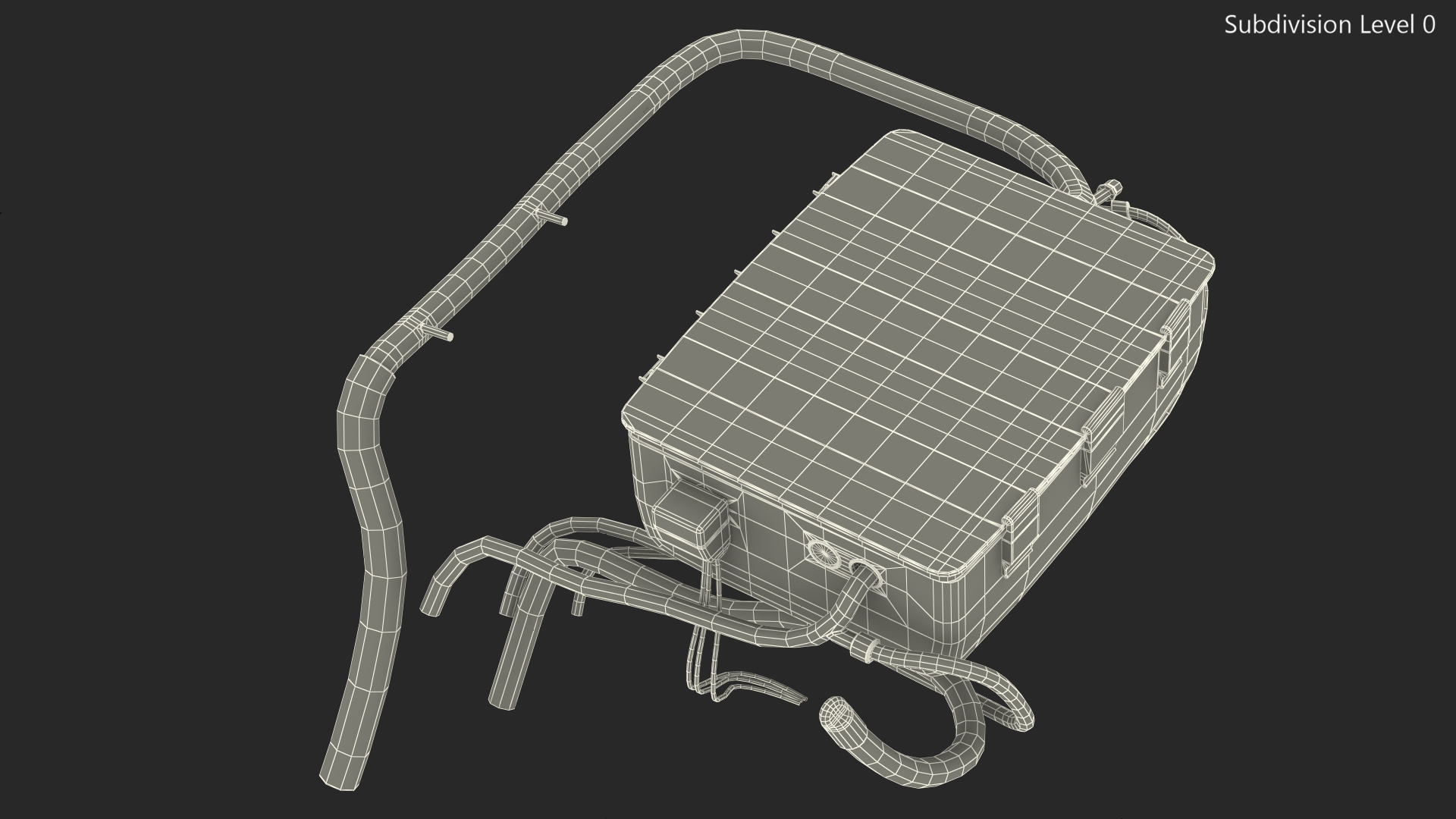 3D Heart in Organ Care Box model