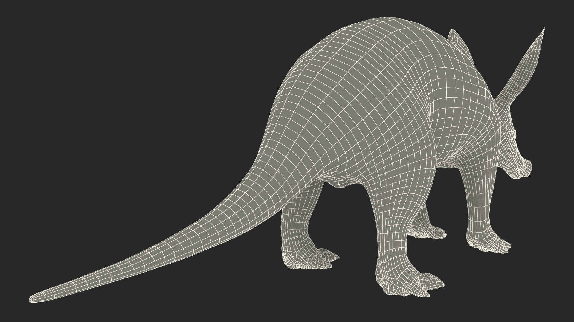 Aardvark Fur Rigged 3D model