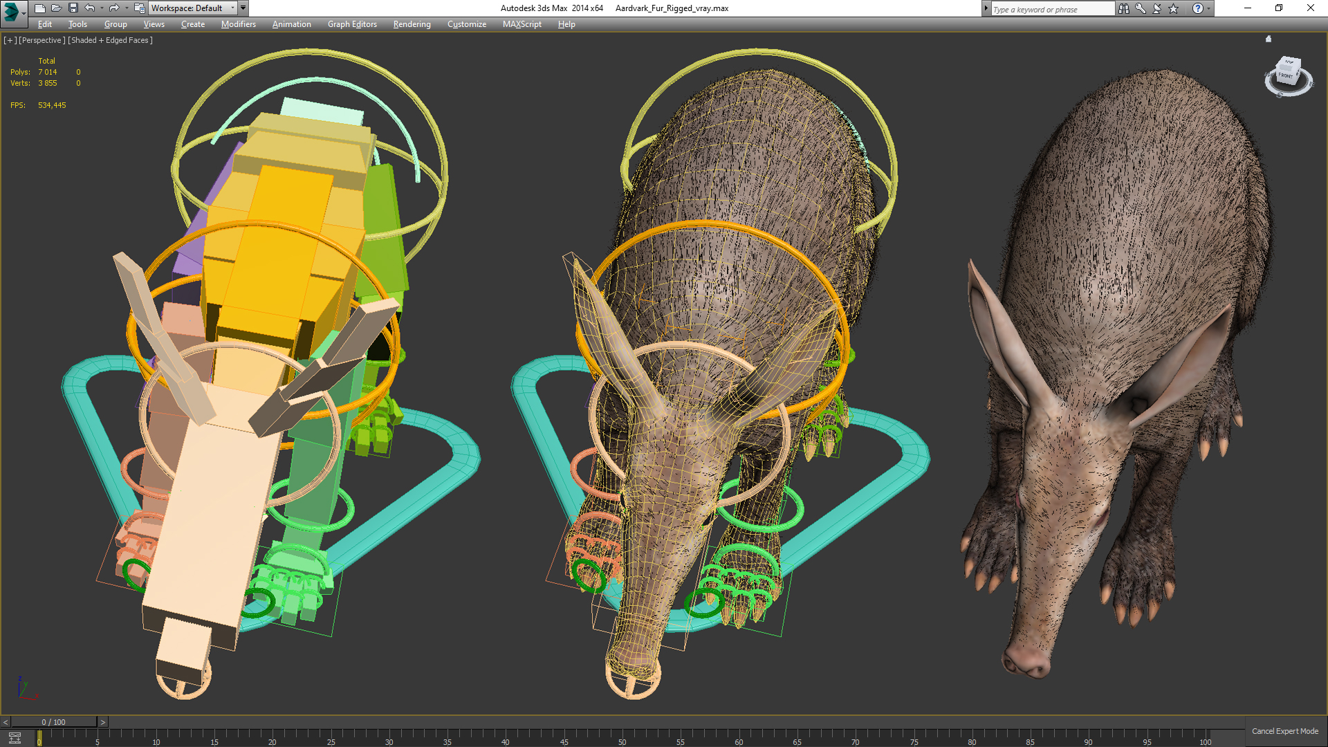 Aardvark Fur Rigged 3D model