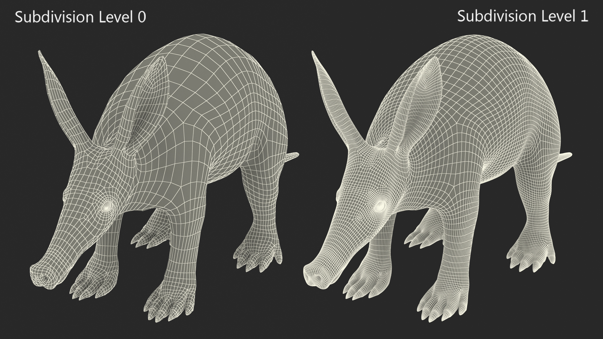 Aardvark Fur Rigged 3D model