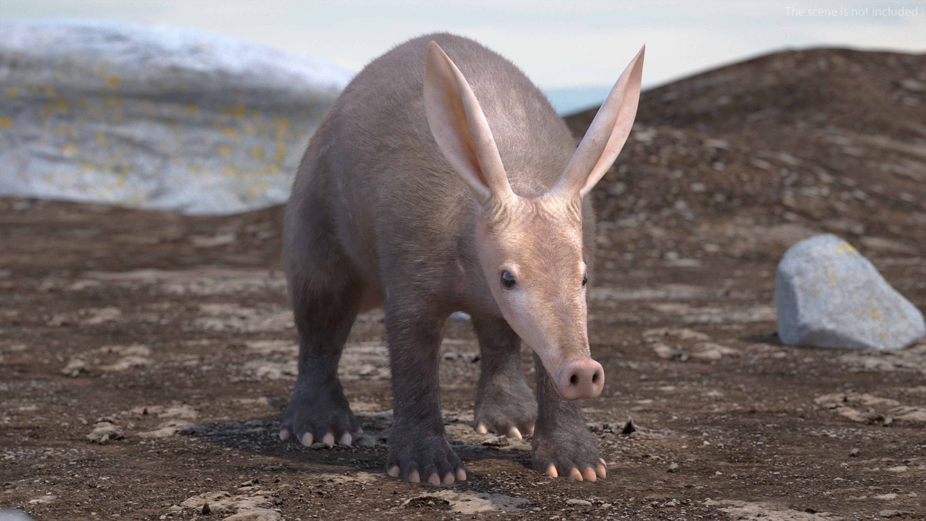 Aardvark Fur Rigged 3D model