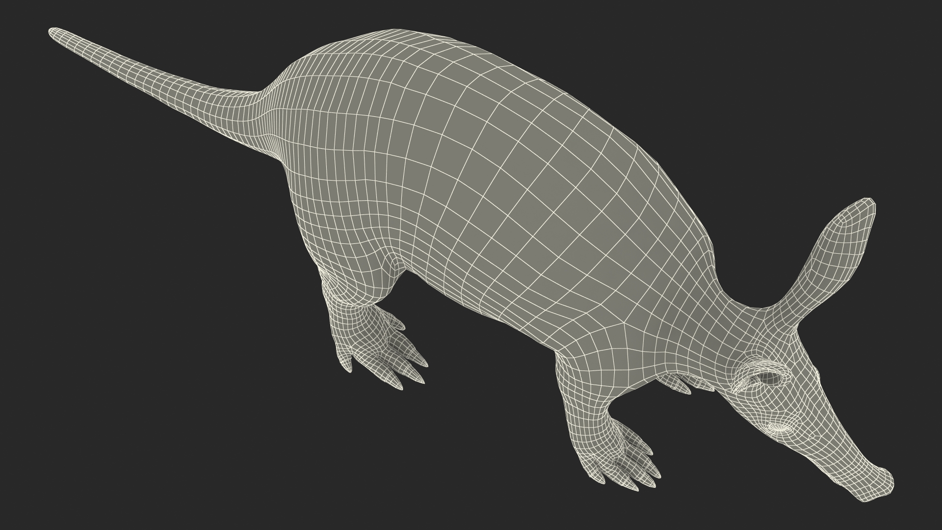 Aardvark Fur Rigged 3D model