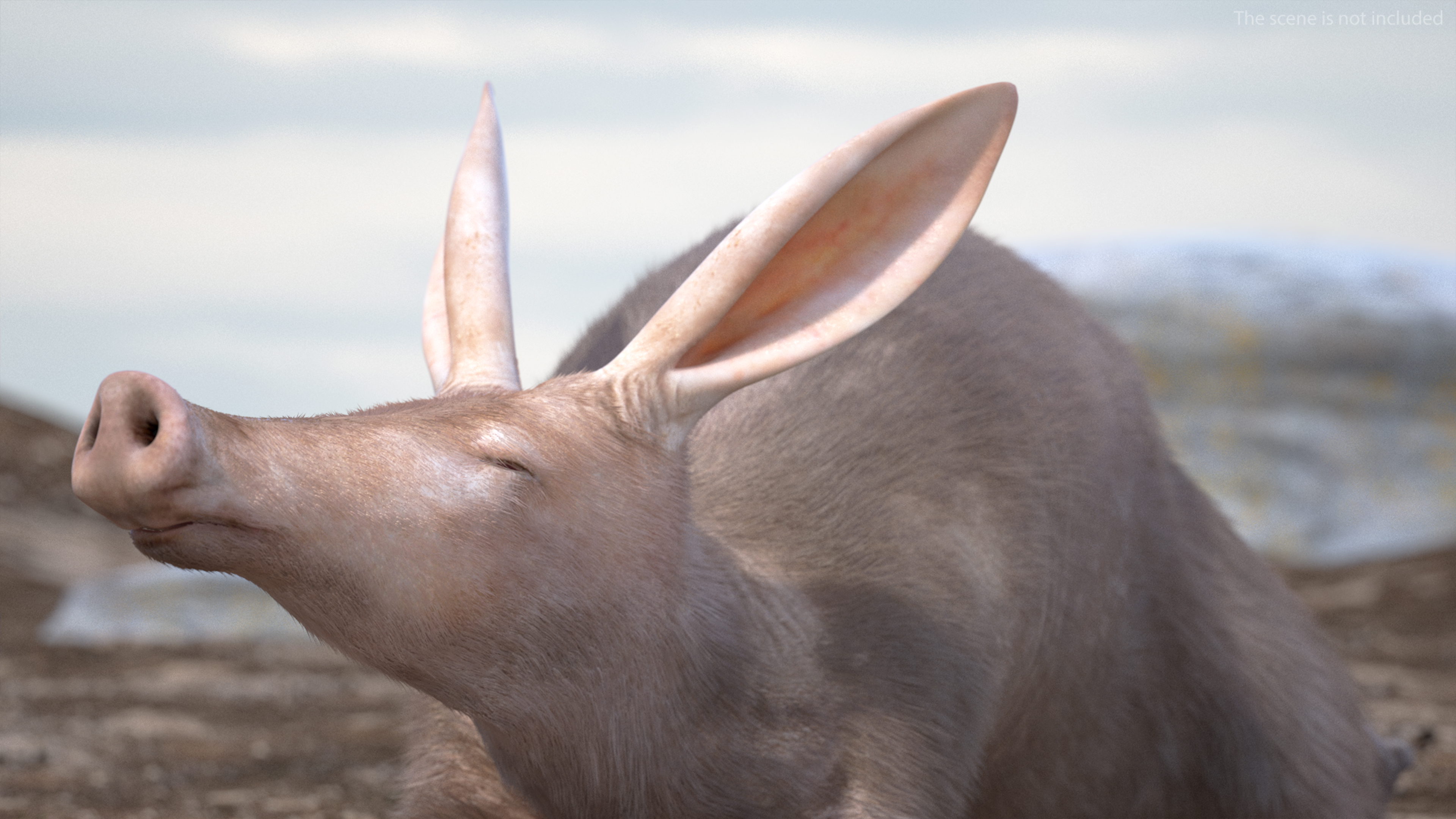 Aardvark Fur Rigged 3D model