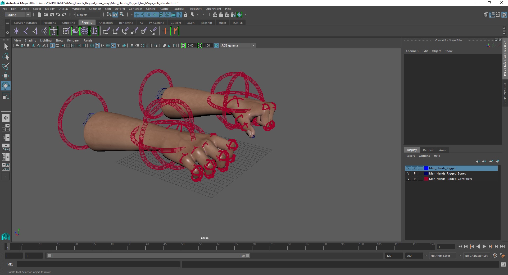 3D model Man Hands Rigged for Maya