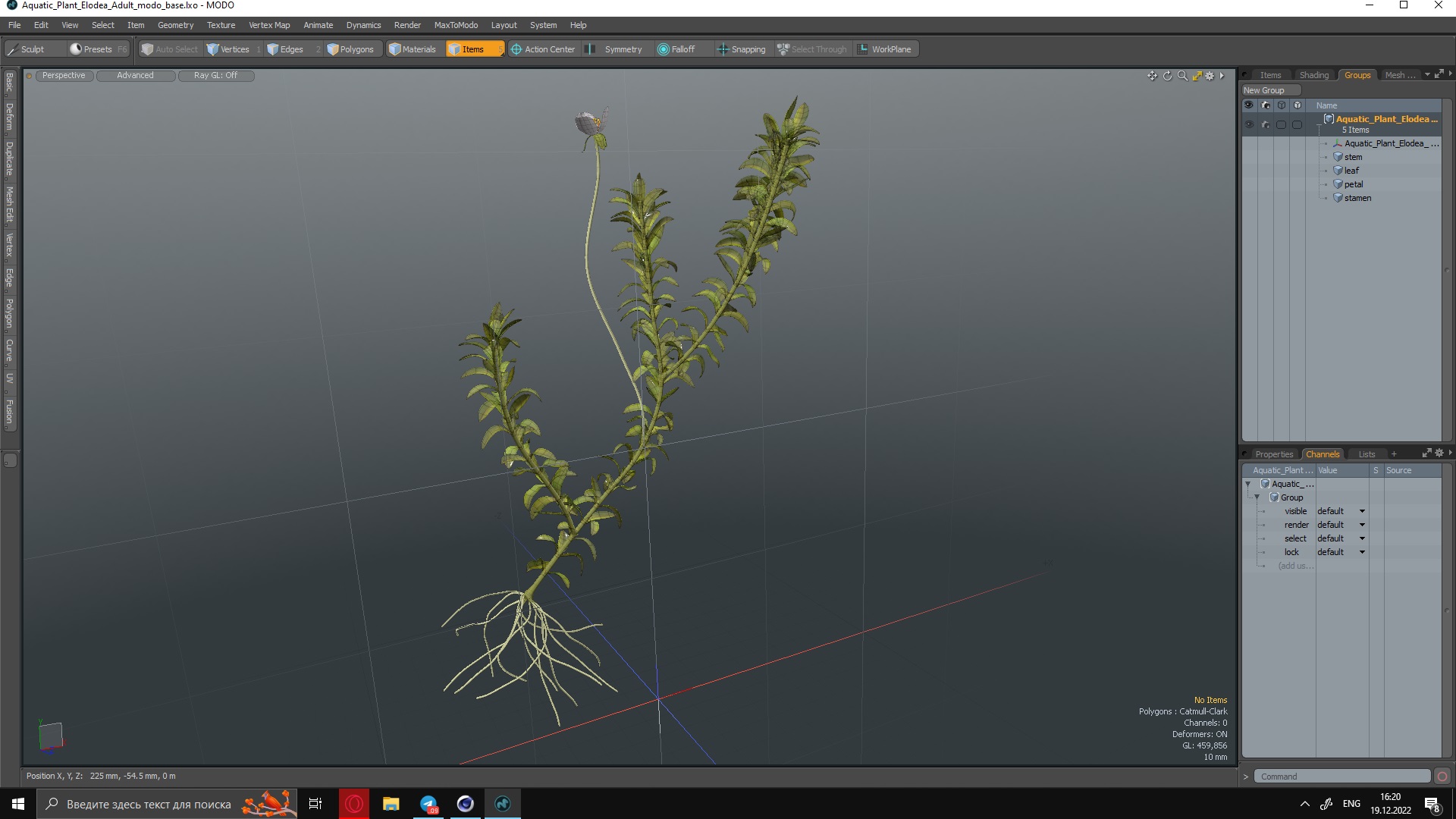 3D Aquatic Plant Elodea Adult