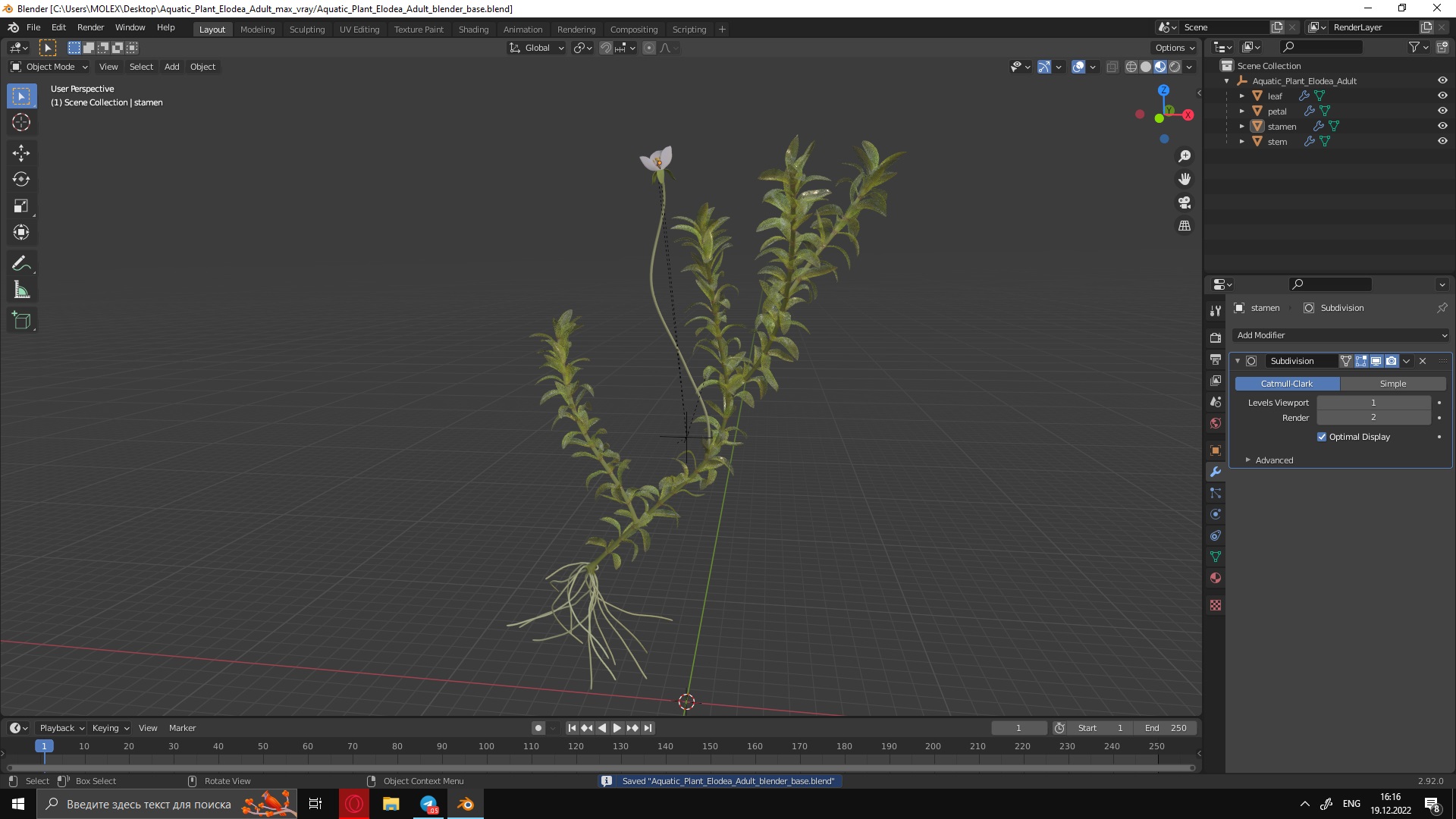 3D Aquatic Plant Elodea Adult