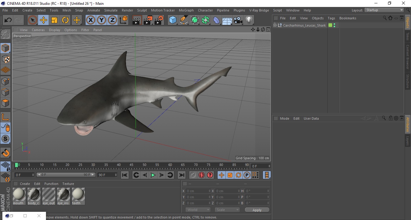 3D model Carcharhinus Leucas Shark