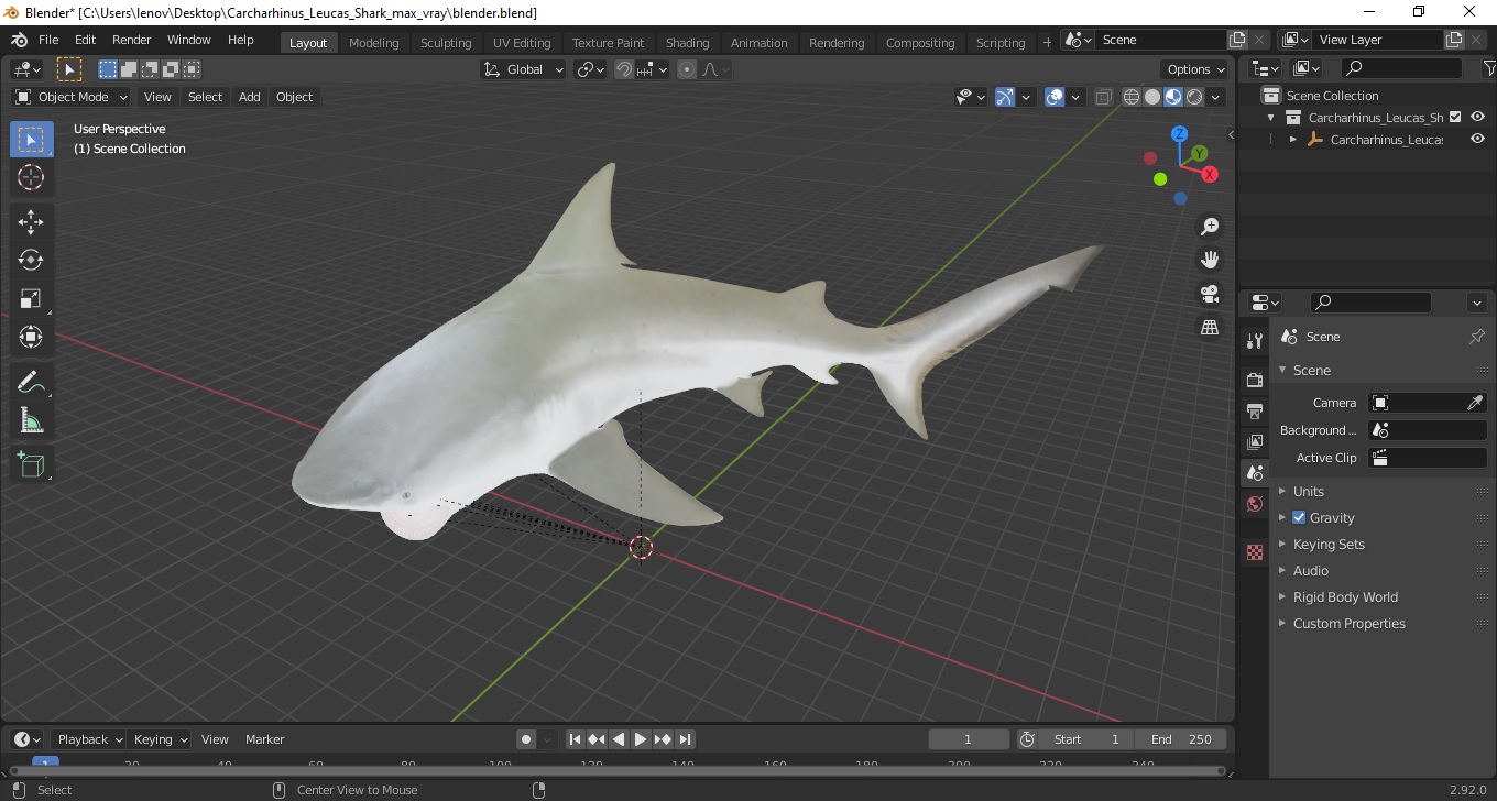 3D model Carcharhinus Leucas Shark