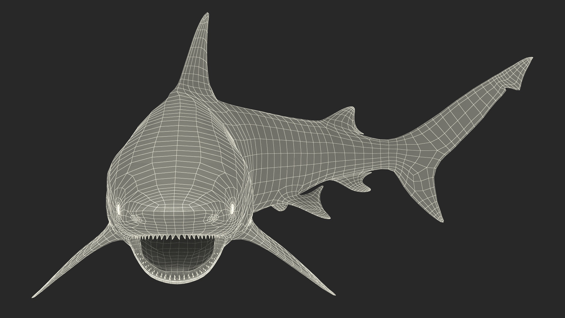 3D model Carcharhinus Leucas Shark