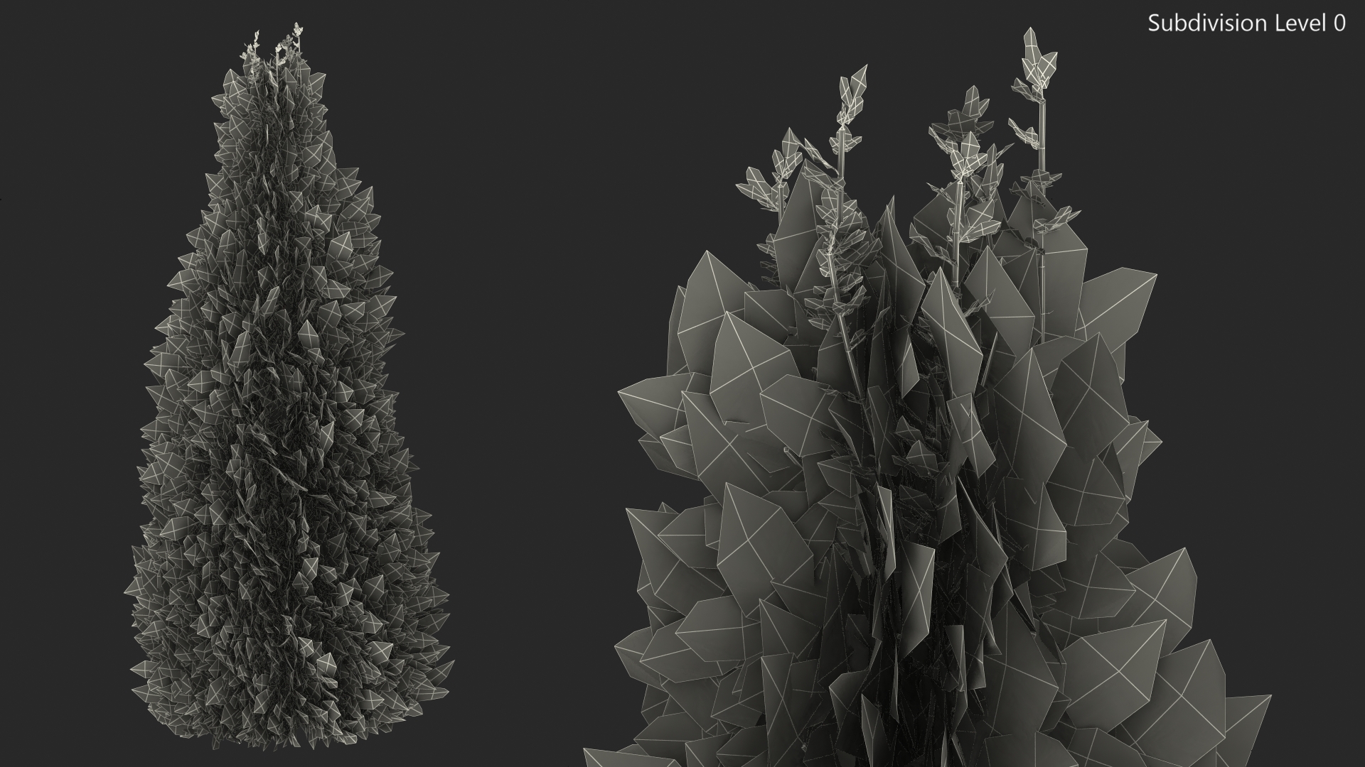 3D Chinese Arborvitae model