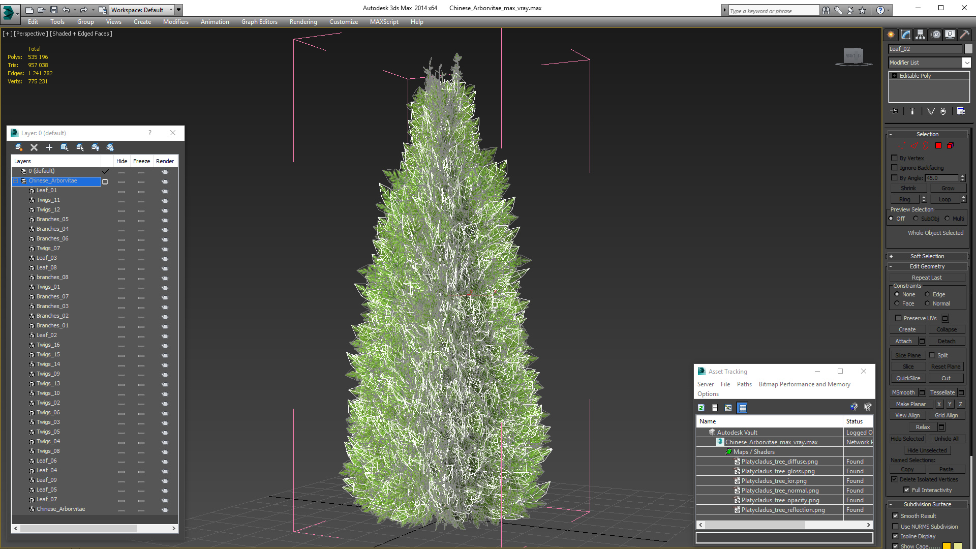 3D Chinese Arborvitae model