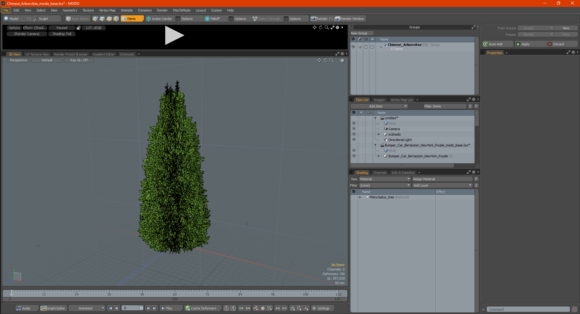 3D Chinese Arborvitae model