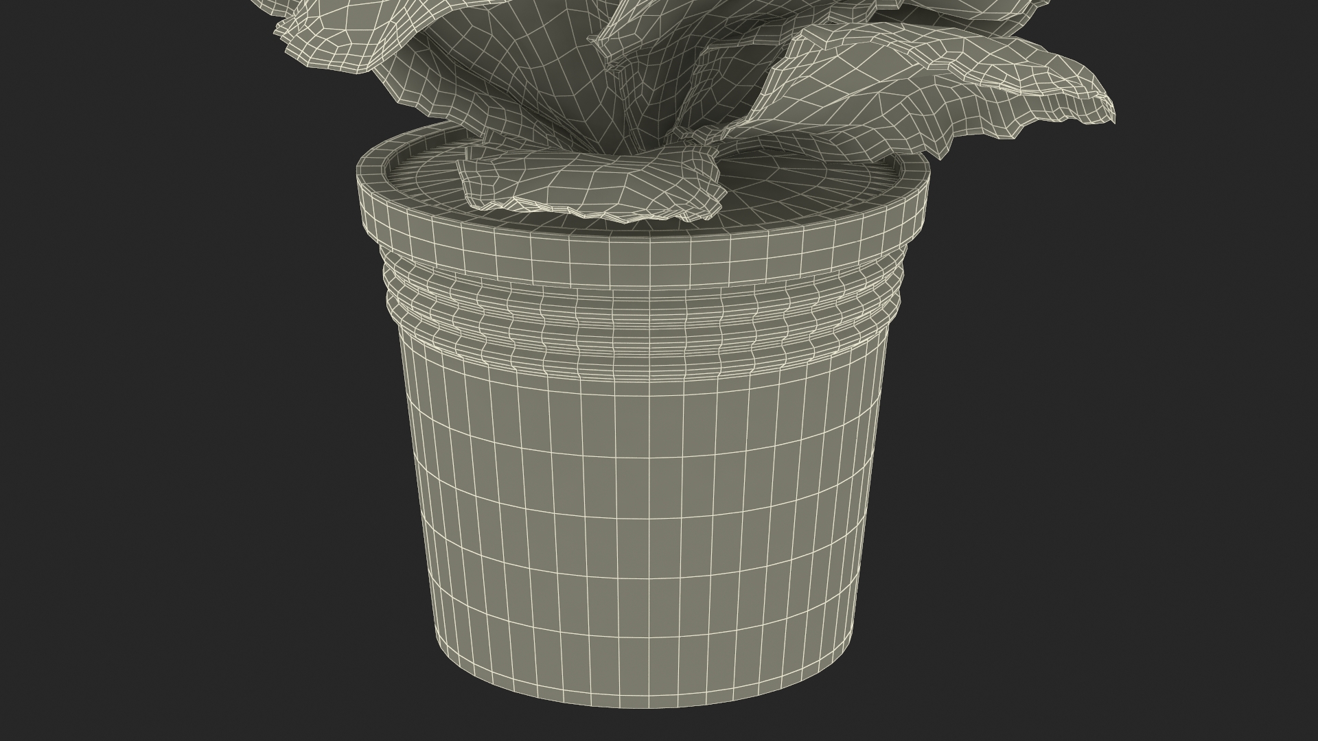 Potted Primrose Common Yellow 3D model