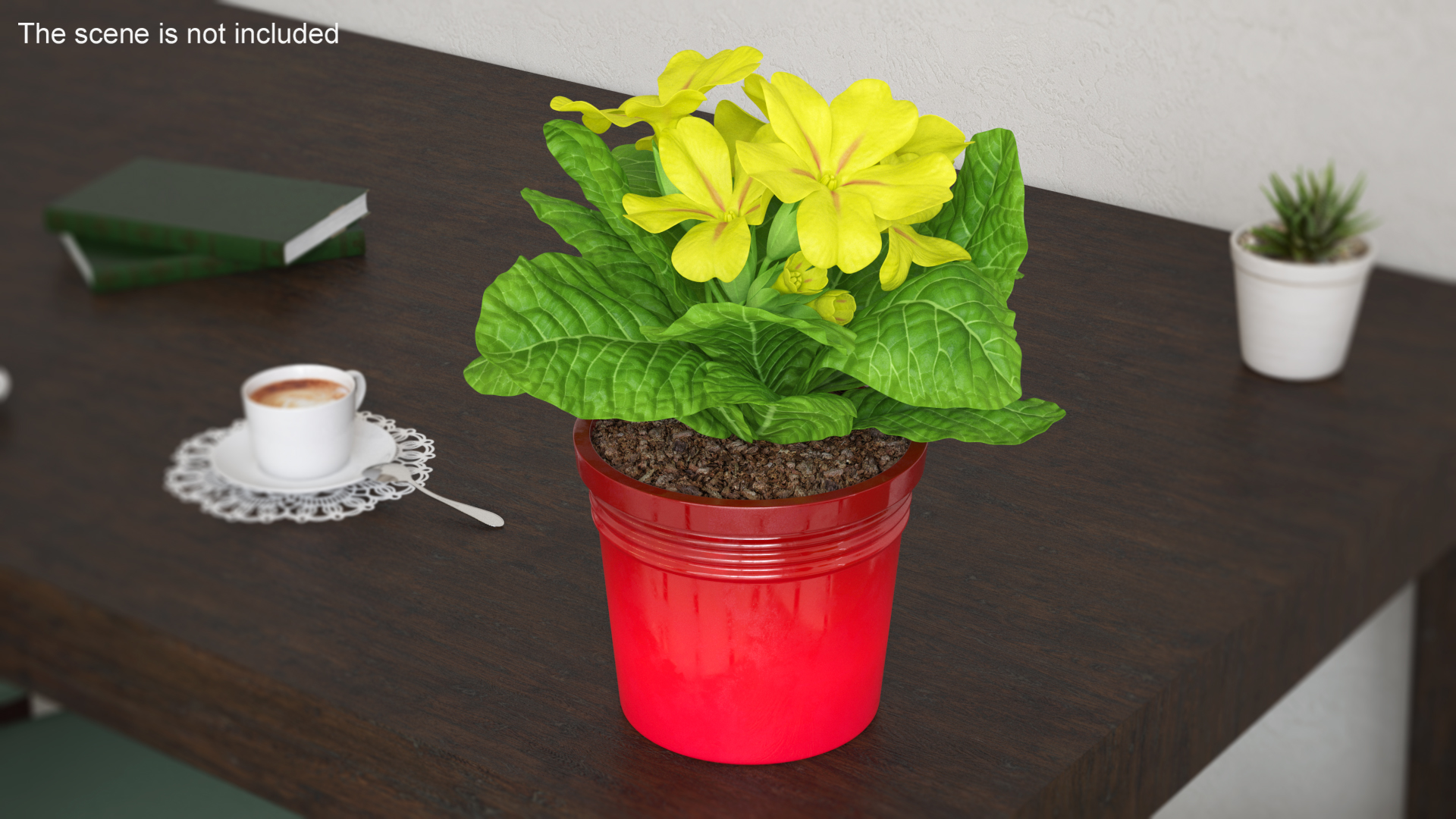 Potted Primrose Common Yellow 3D model