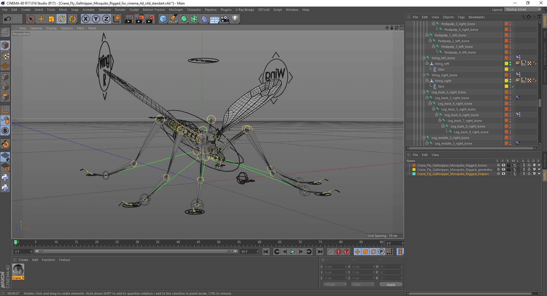 3D Crane Fly Gallinipper Mosquito Rigged for Cinema 4D