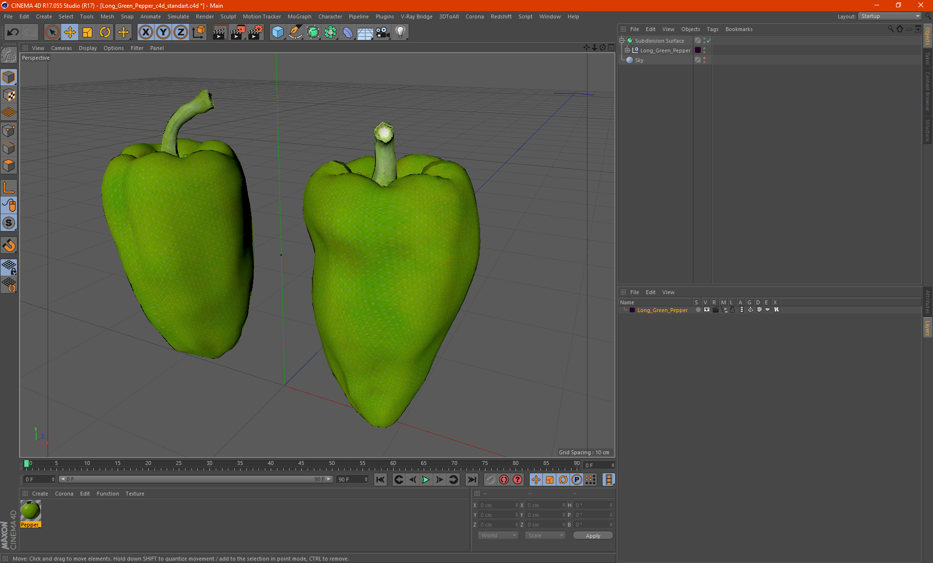 Long Green Pepper 3D