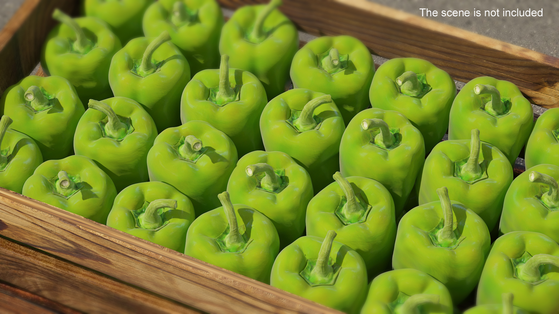 Long Green Pepper 3D