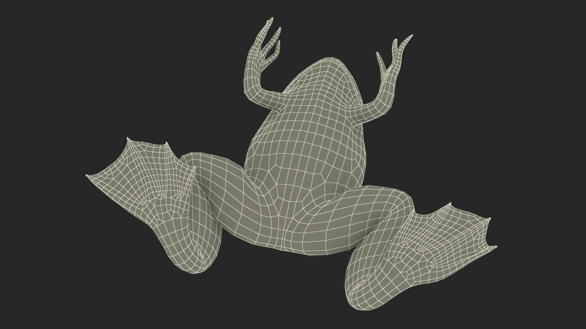 Xenopus African Clawed Toad Sits Pose 3D