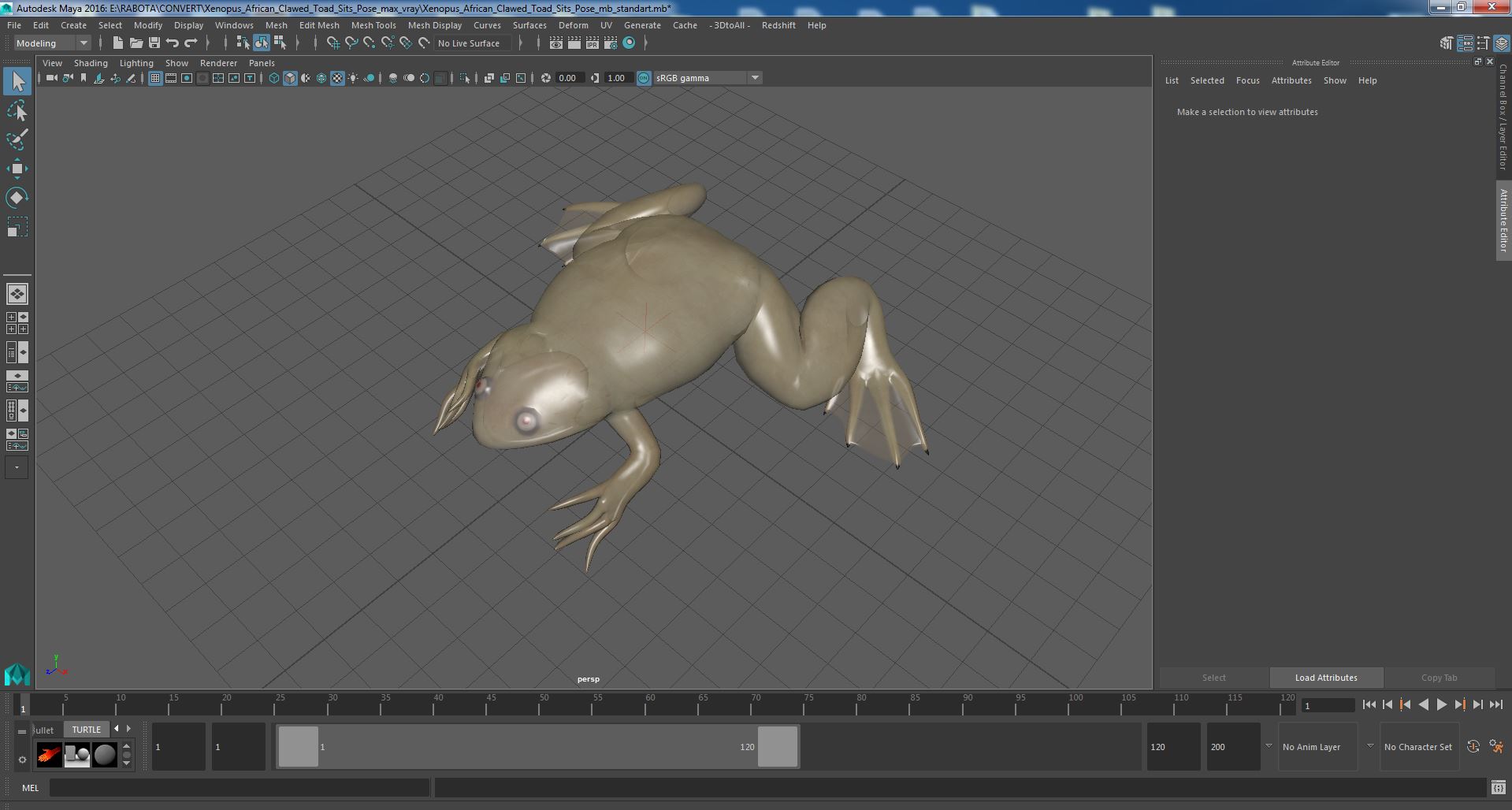 Xenopus African Clawed Toad Sits Pose 3D