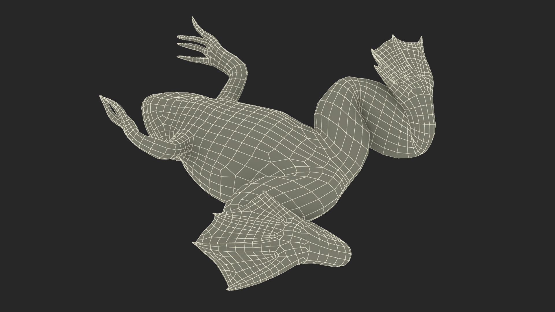 Xenopus African Clawed Toad Sits Pose 3D