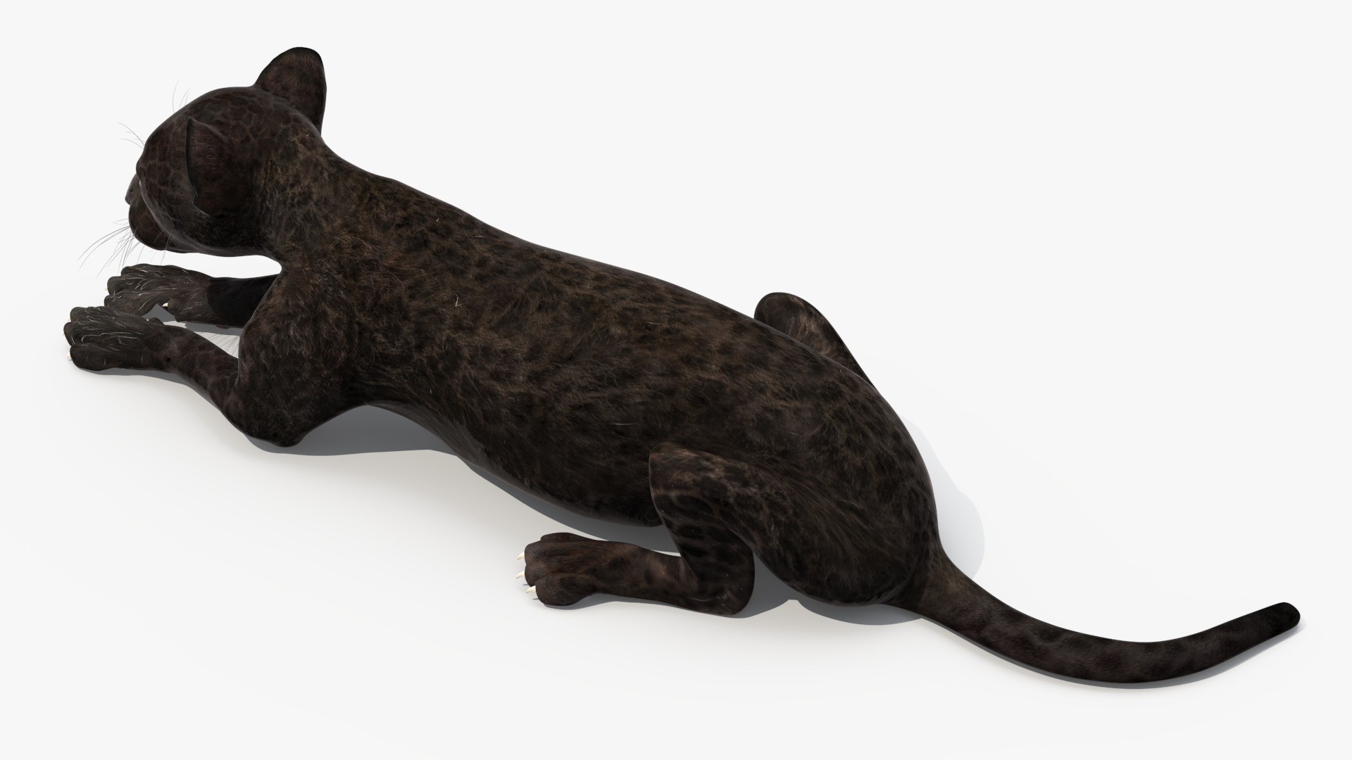 3D model Panther Cub Lying Down for 3D Print