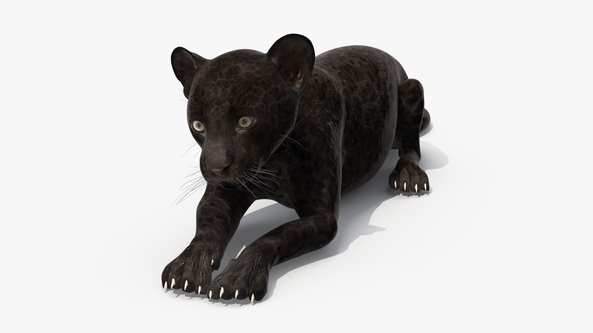 3D model Panther Cub Lying Down for 3D Print