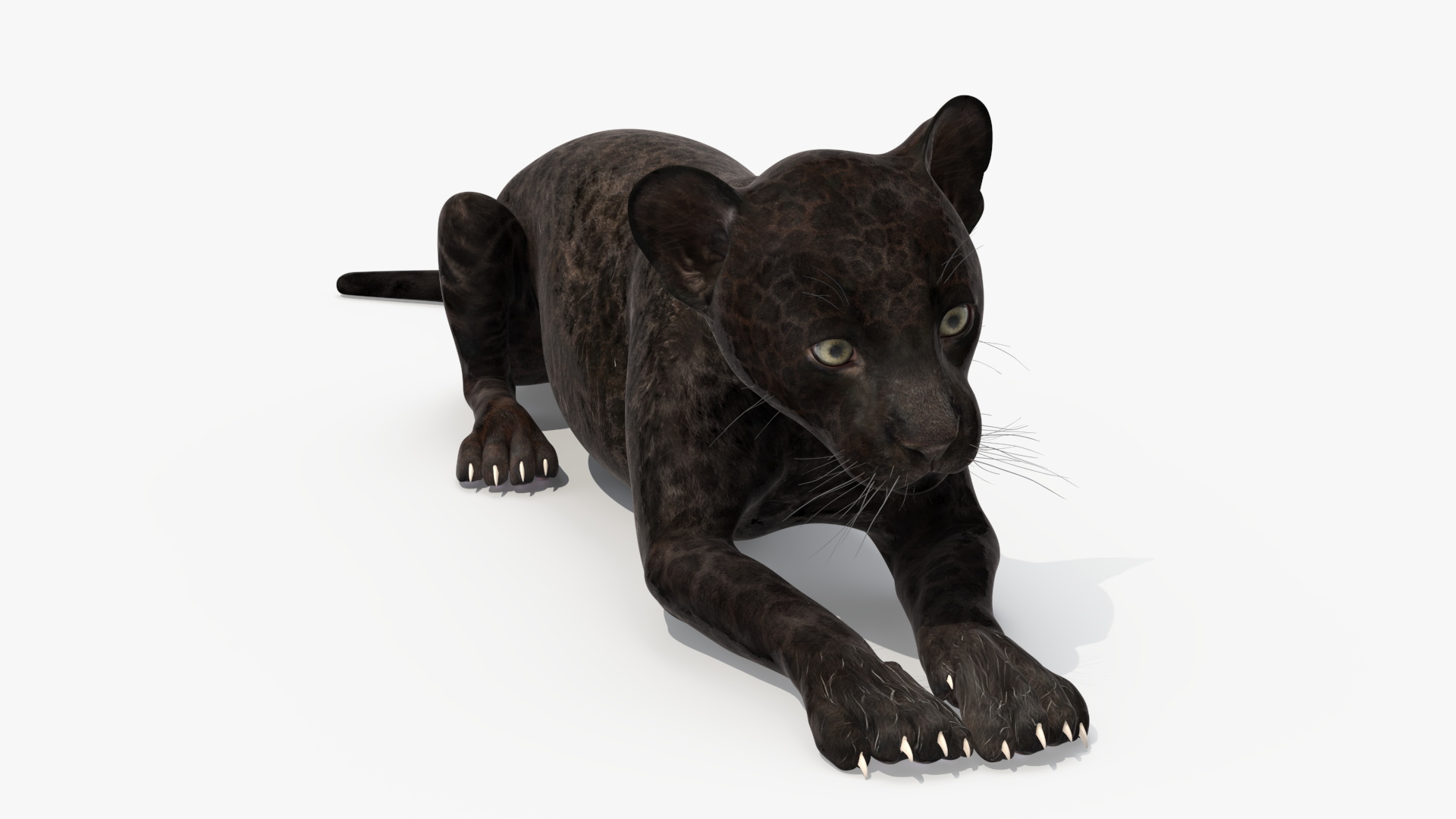 3D model Panther Cub Lying Down for 3D Print