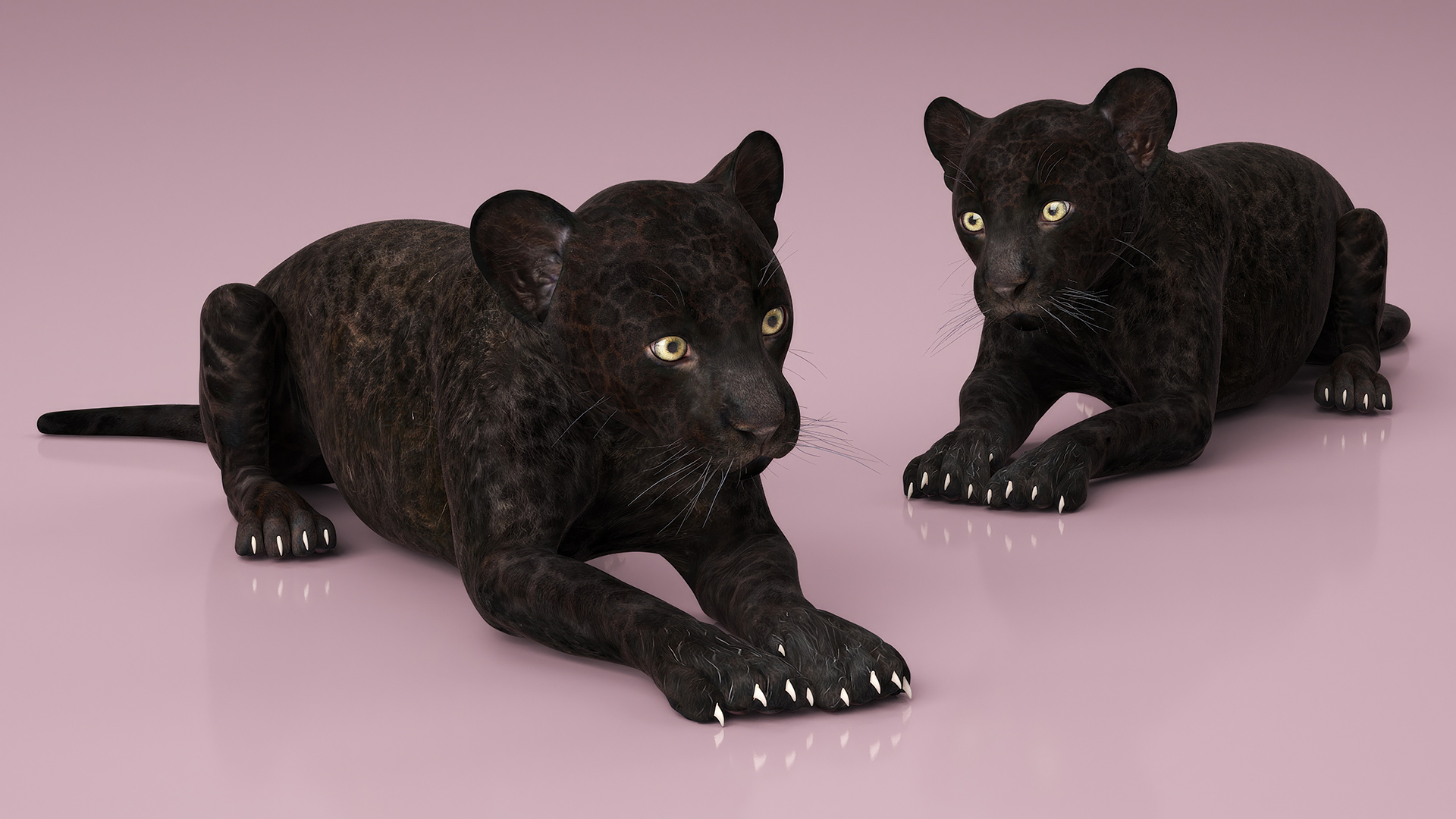 3D model Panther Cub Lying Down for 3D Print