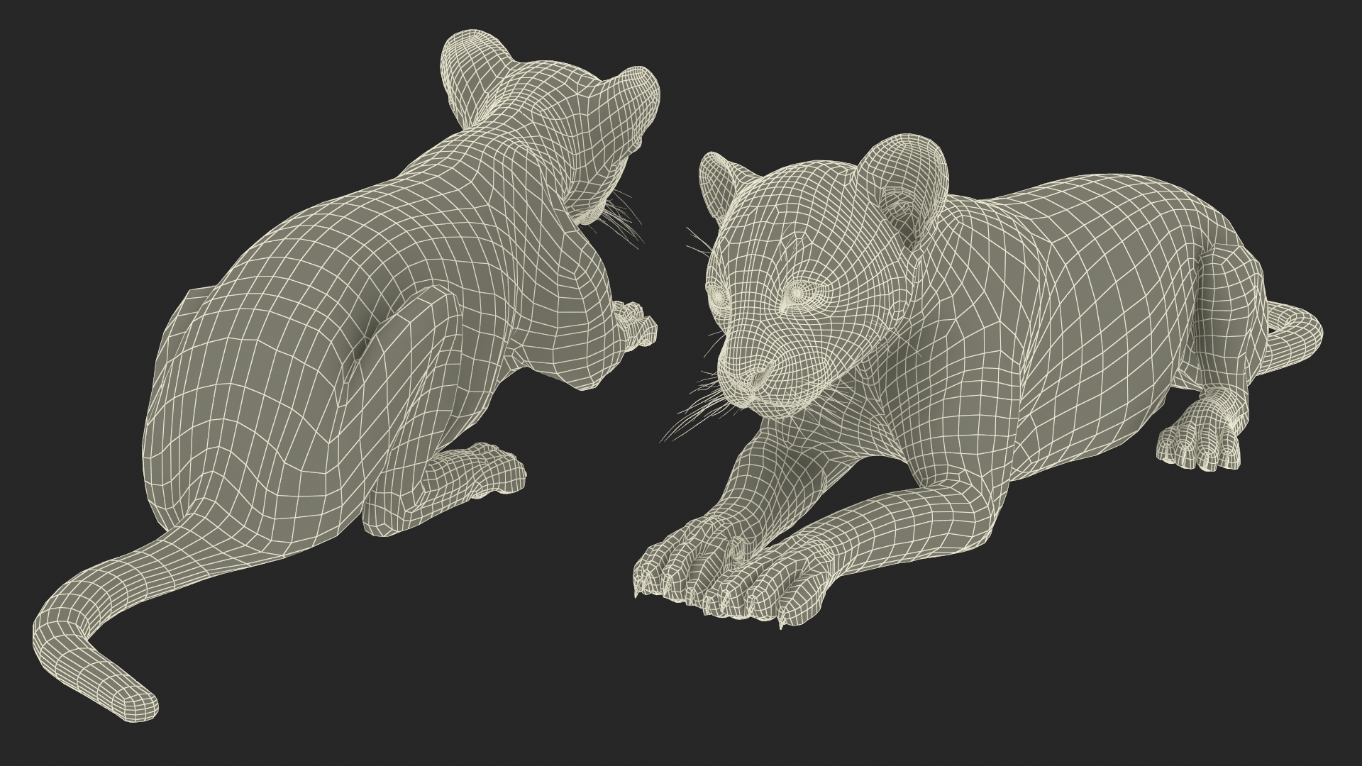 3D model Panther Cub Lying Down for 3D Print