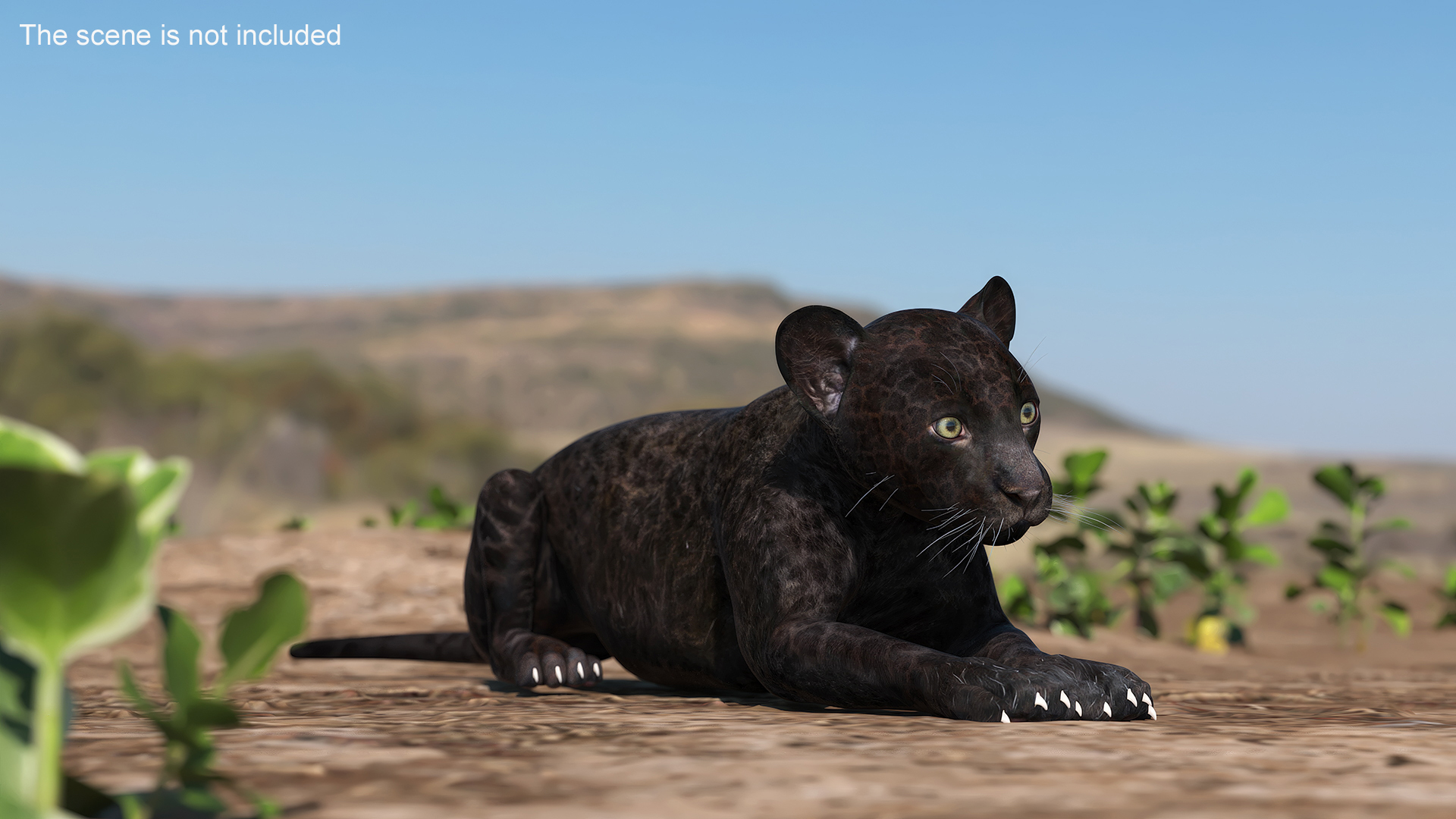 3D model Panther Cub Lying Down for 3D Print