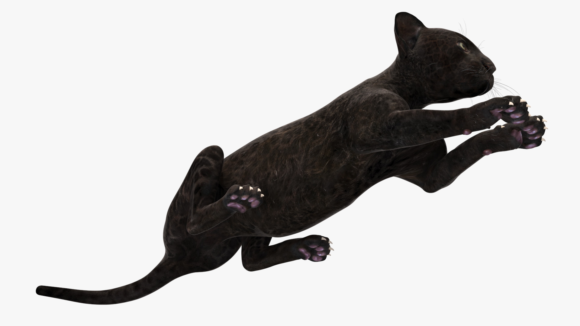 3D model Panther Cub Lying Down for 3D Print