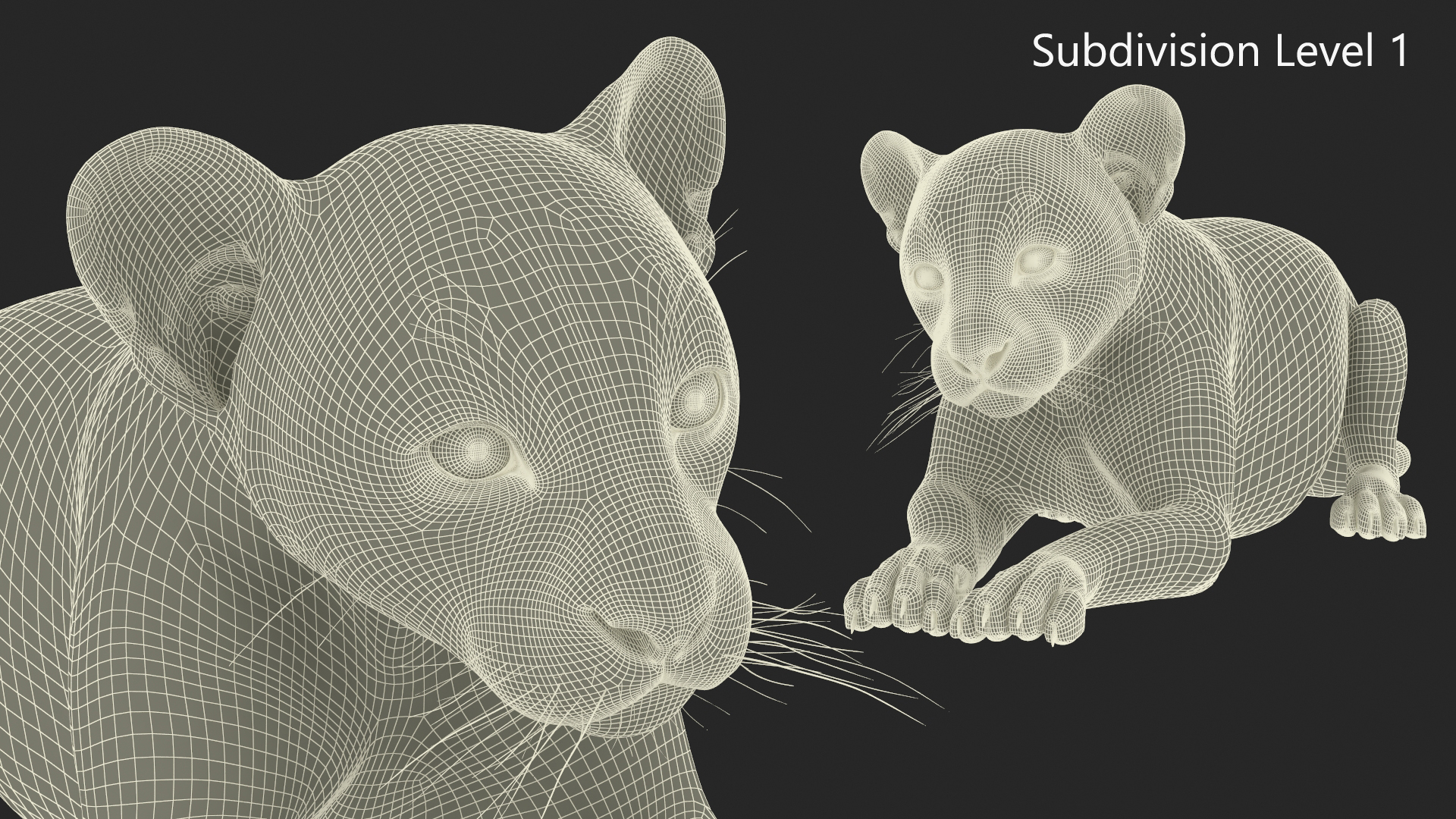 3D model Panther Cub Lying Down for 3D Print