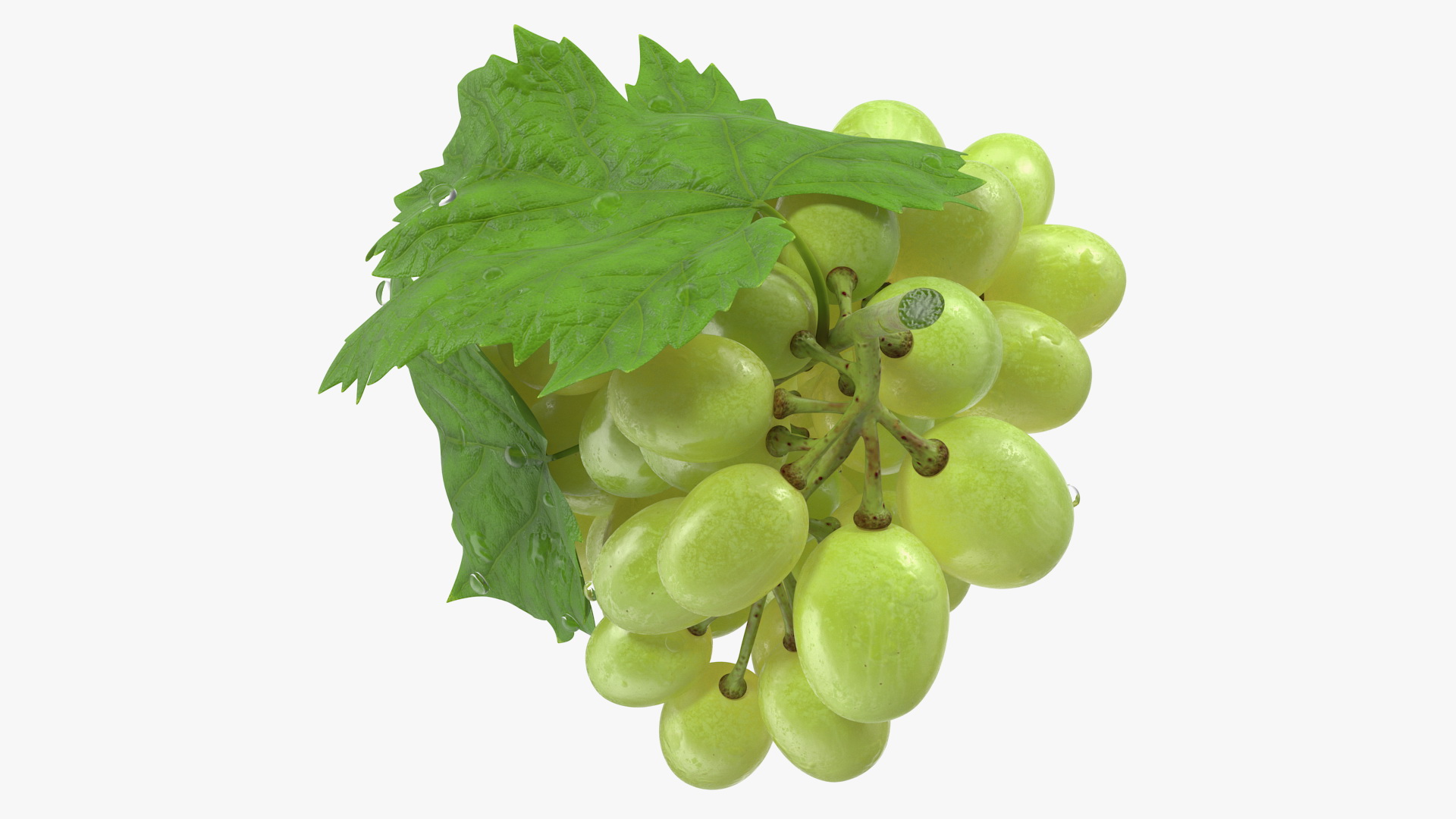 3D Bunch of Green Grapes