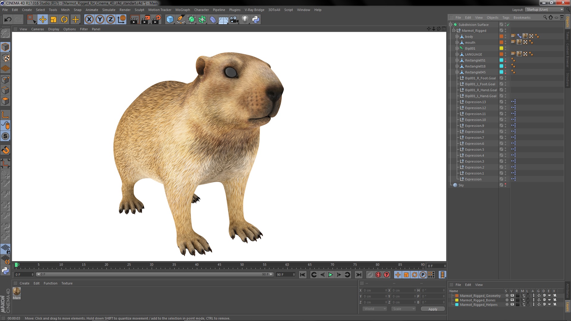 Marmot Rigged for Cinema 4D 3D