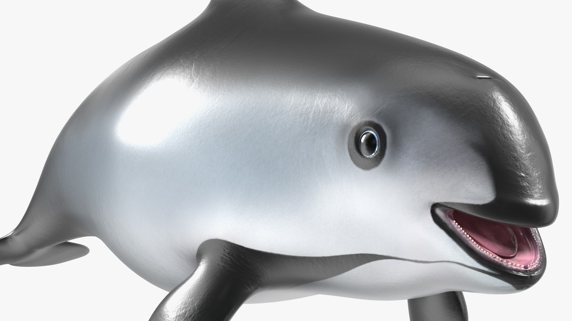 Smallest Cetacean Vaquita Rigged 3D