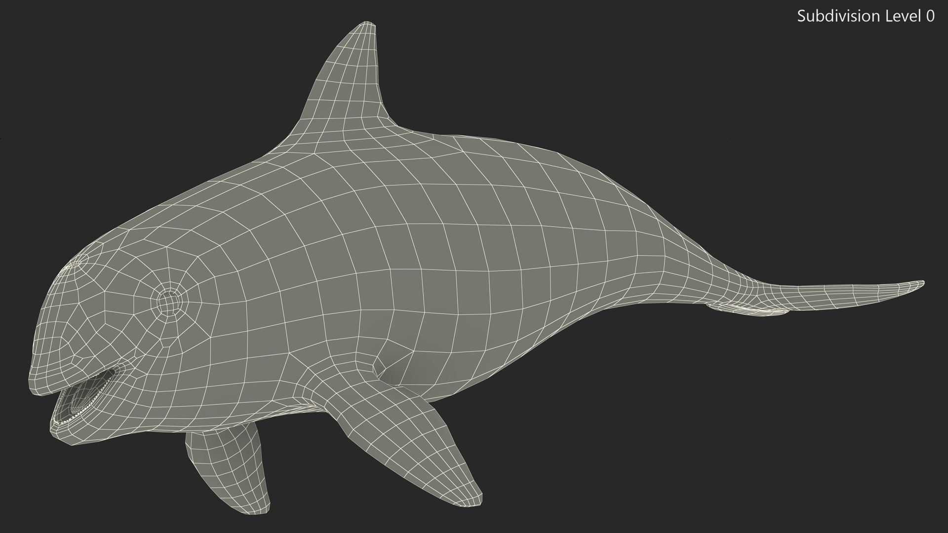 Smallest Cetacean Vaquita Rigged 3D