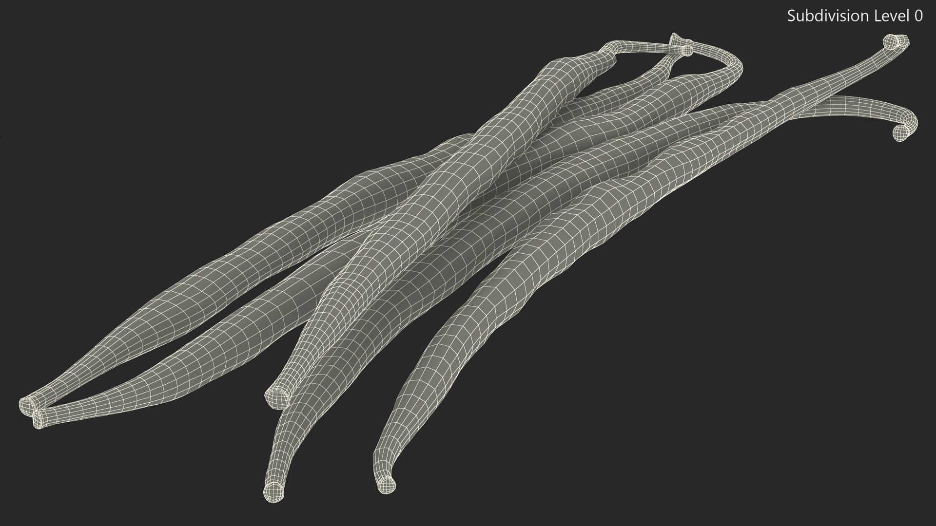 Vanilla Sticks 3D model