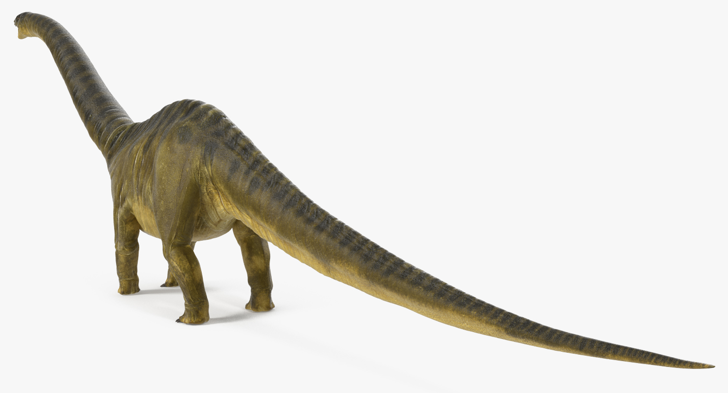 3D model Apatosaurus Dinosaur