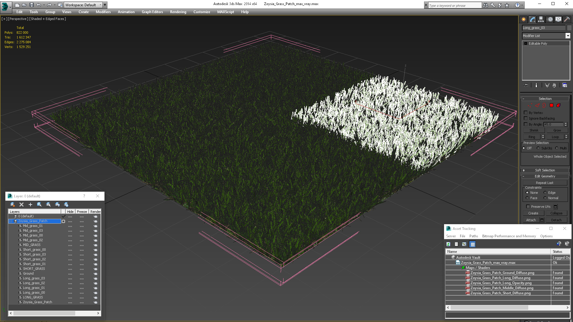 3D Zoysia Grass Patch model