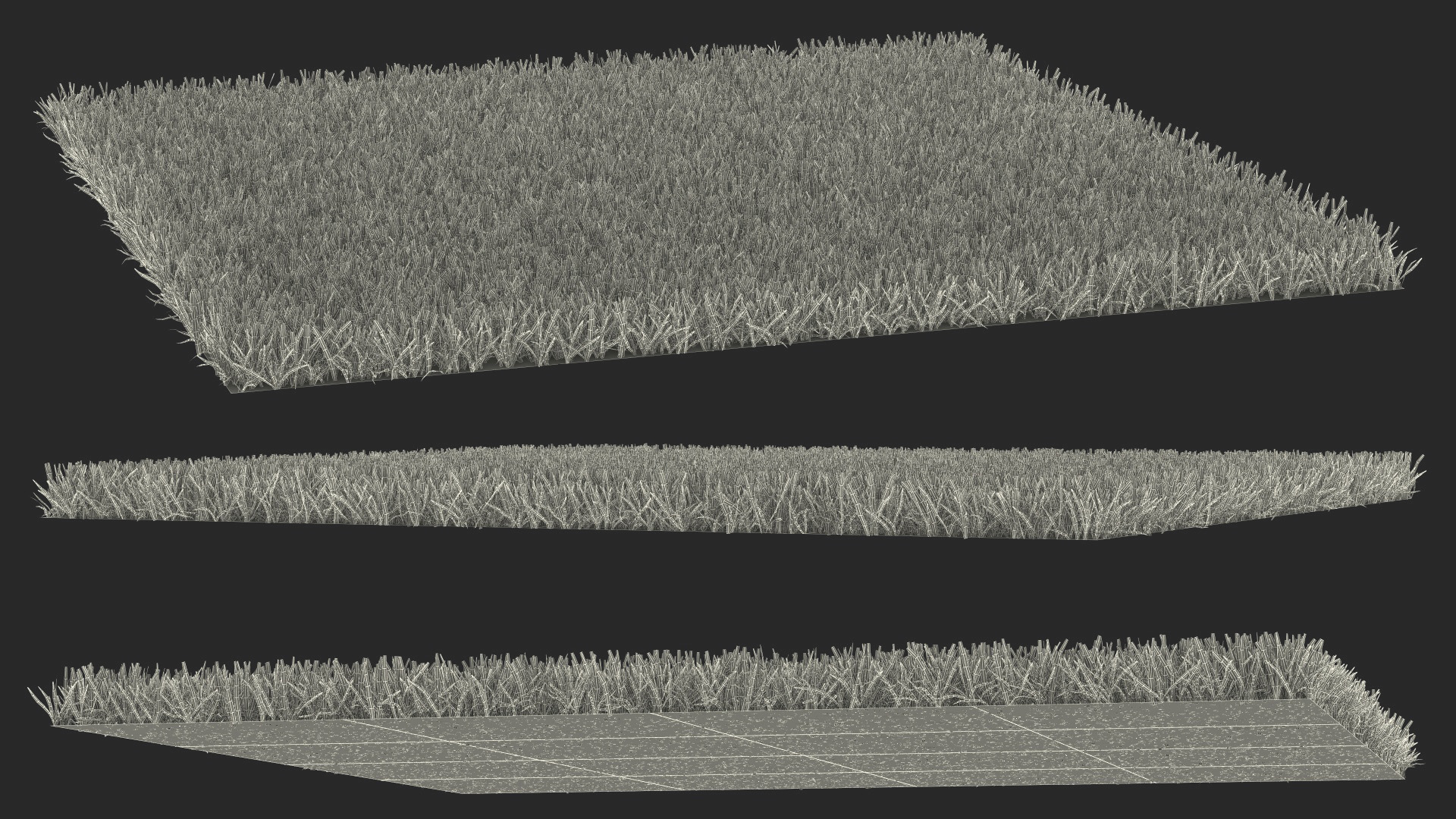 3D Zoysia Grass Patch model