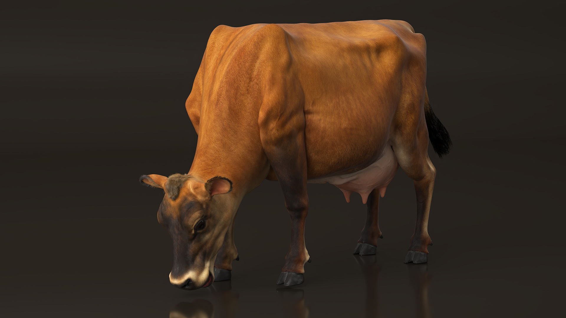 Jersey Dairy Cow Fur Rigged 3D