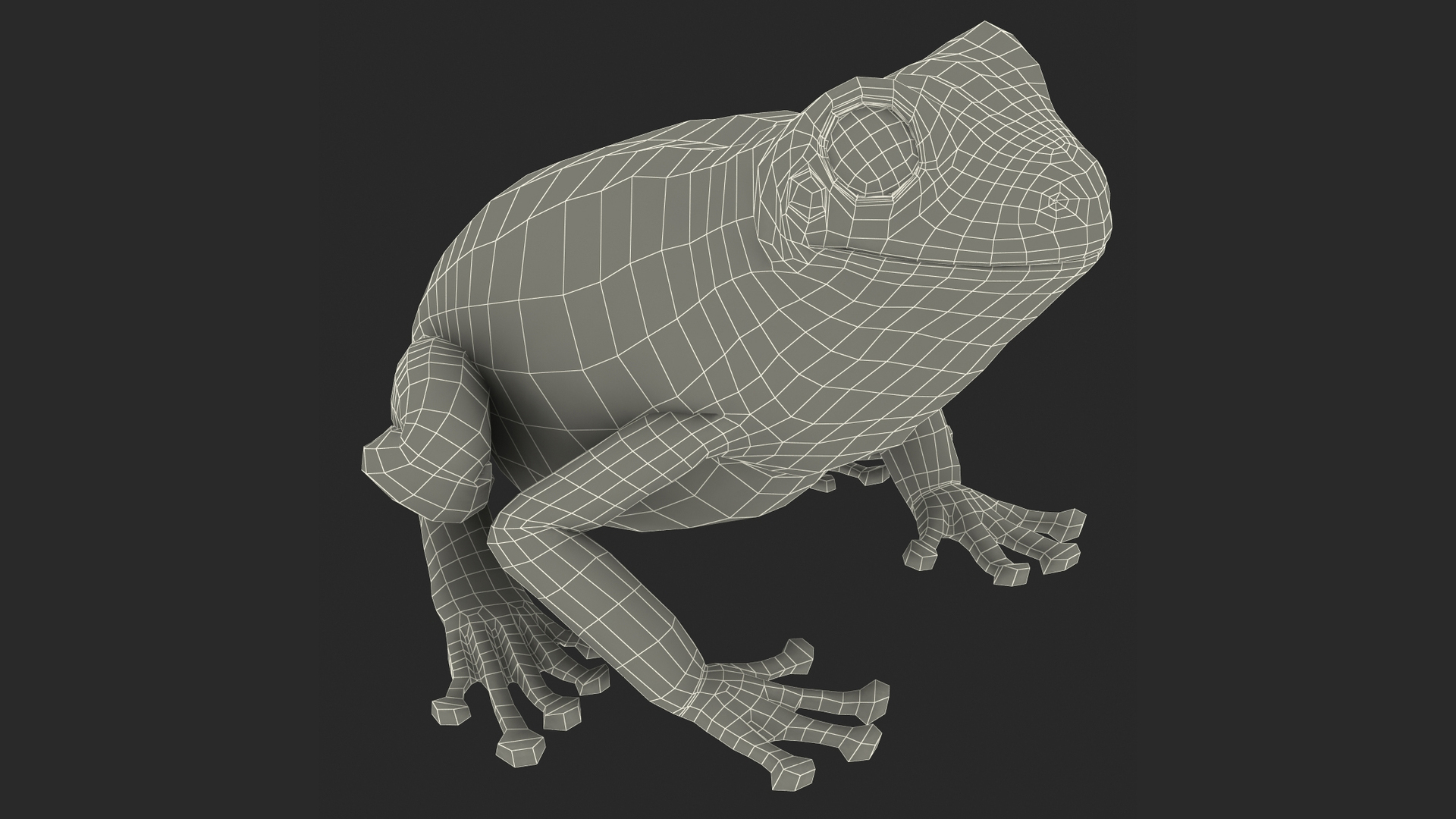 Realistic Australian Green Frog Rigged for Maya 3D