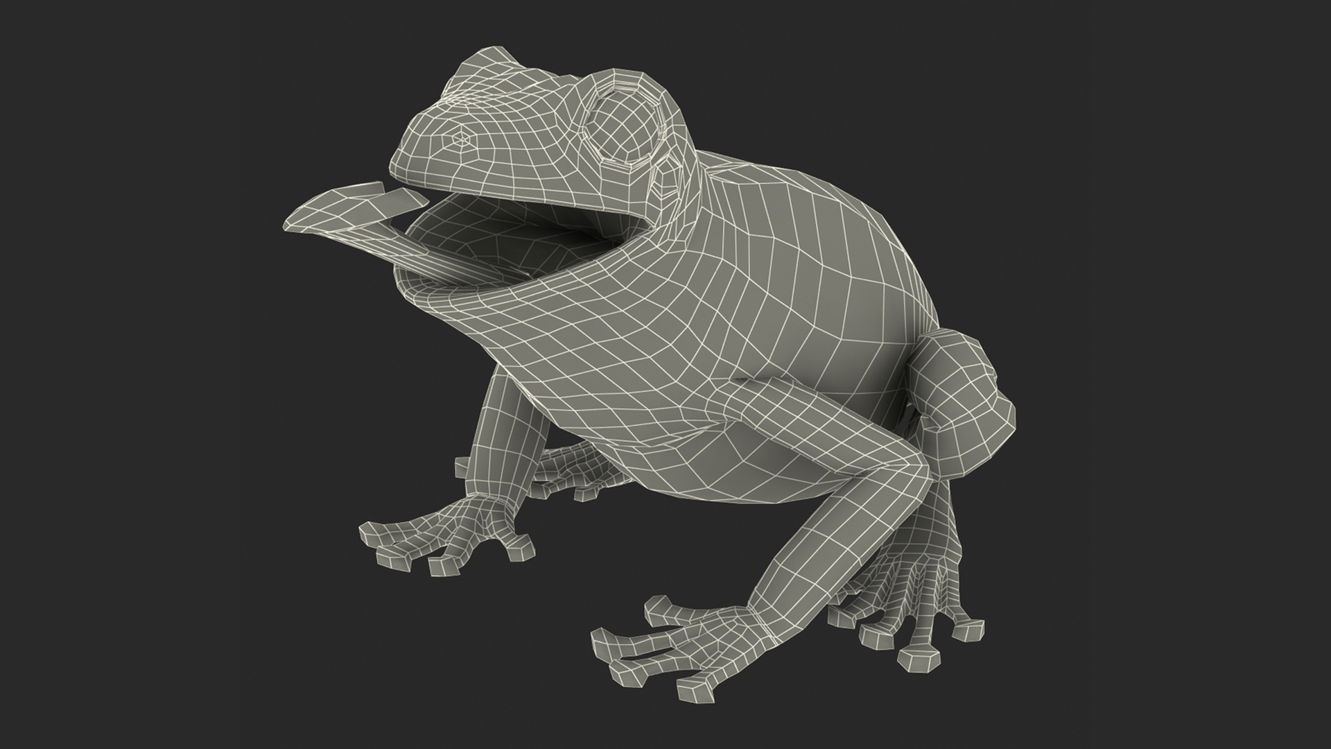 Realistic Australian Green Frog Rigged for Maya 3D