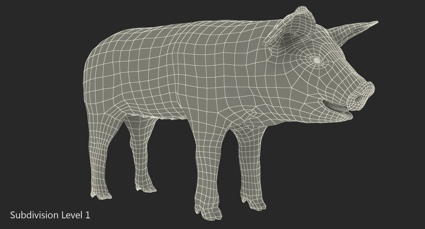 3D Pig Piglet Pietrain with Fur model