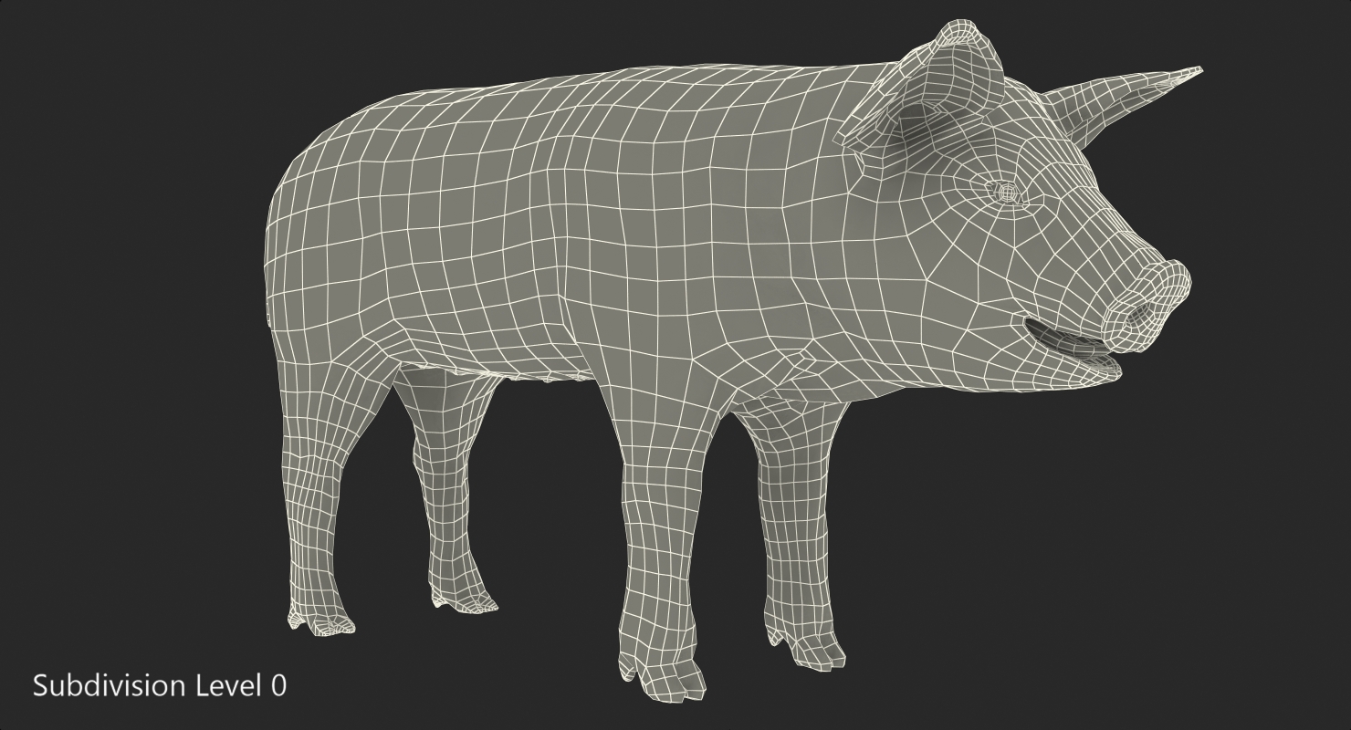 3D Pig Piglet Pietrain with Fur model