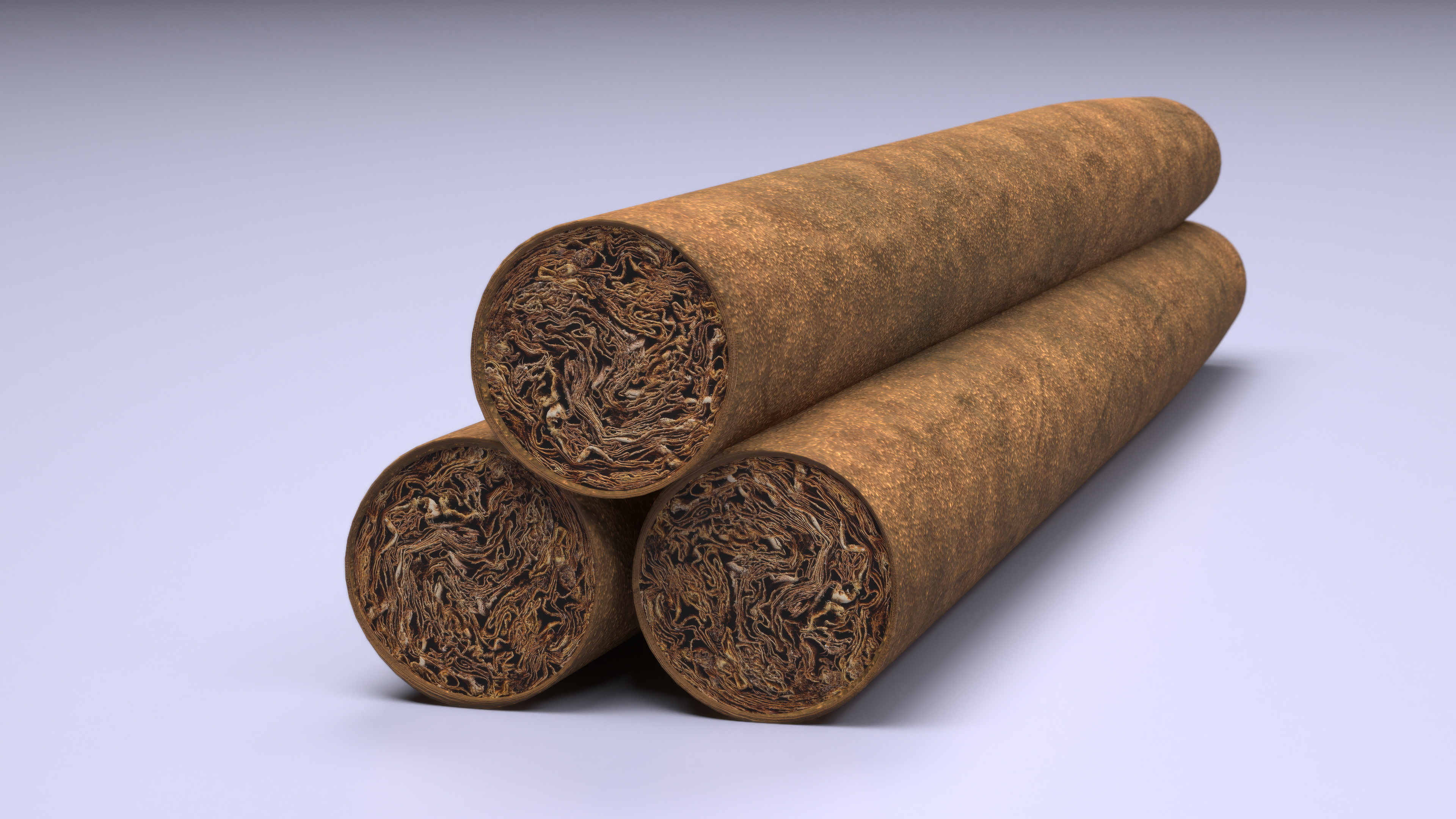 Cigar 3D model