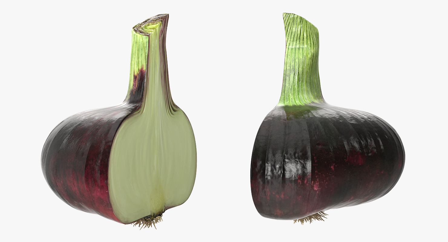 Red Onion Half 3D model