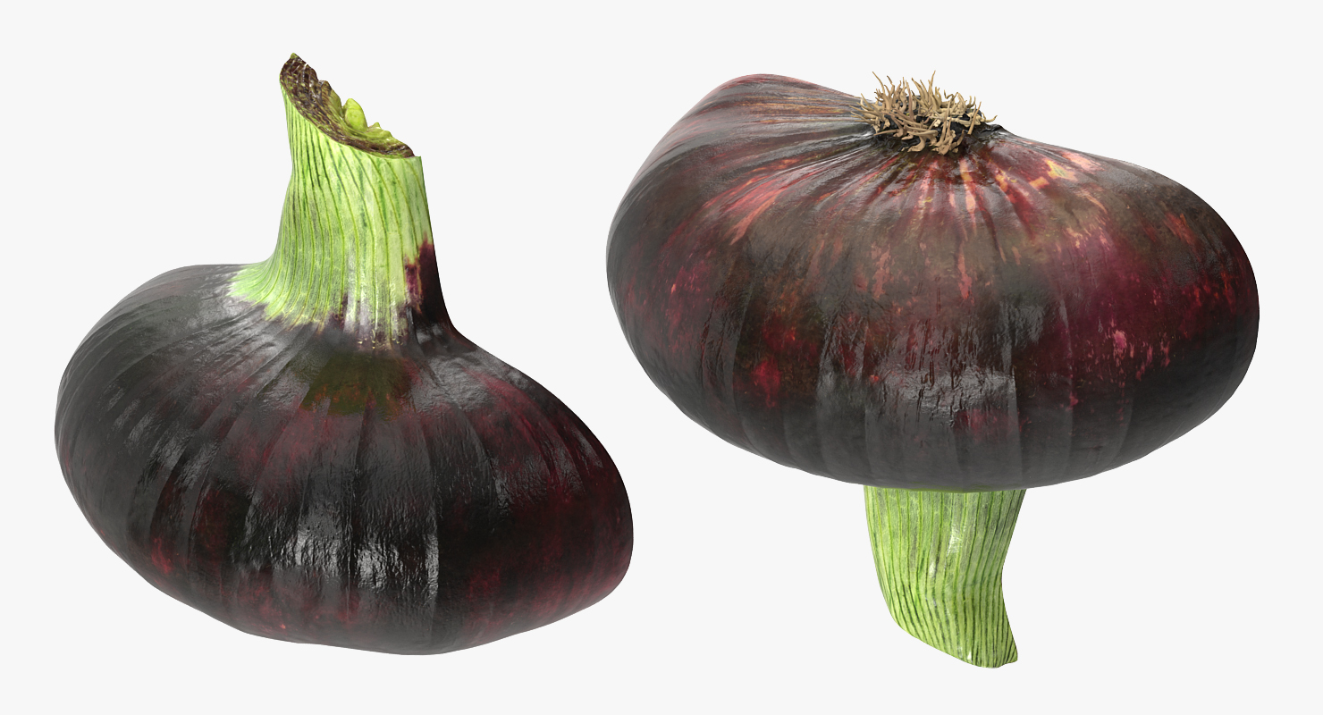 Red Onion Half 3D model